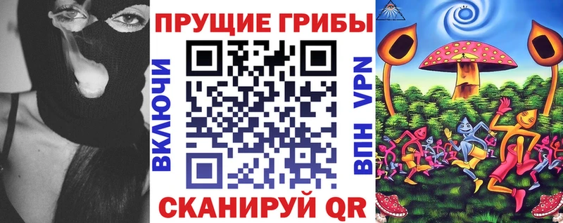 Псилоцибиновые грибы прущие грибы закладки Раменское